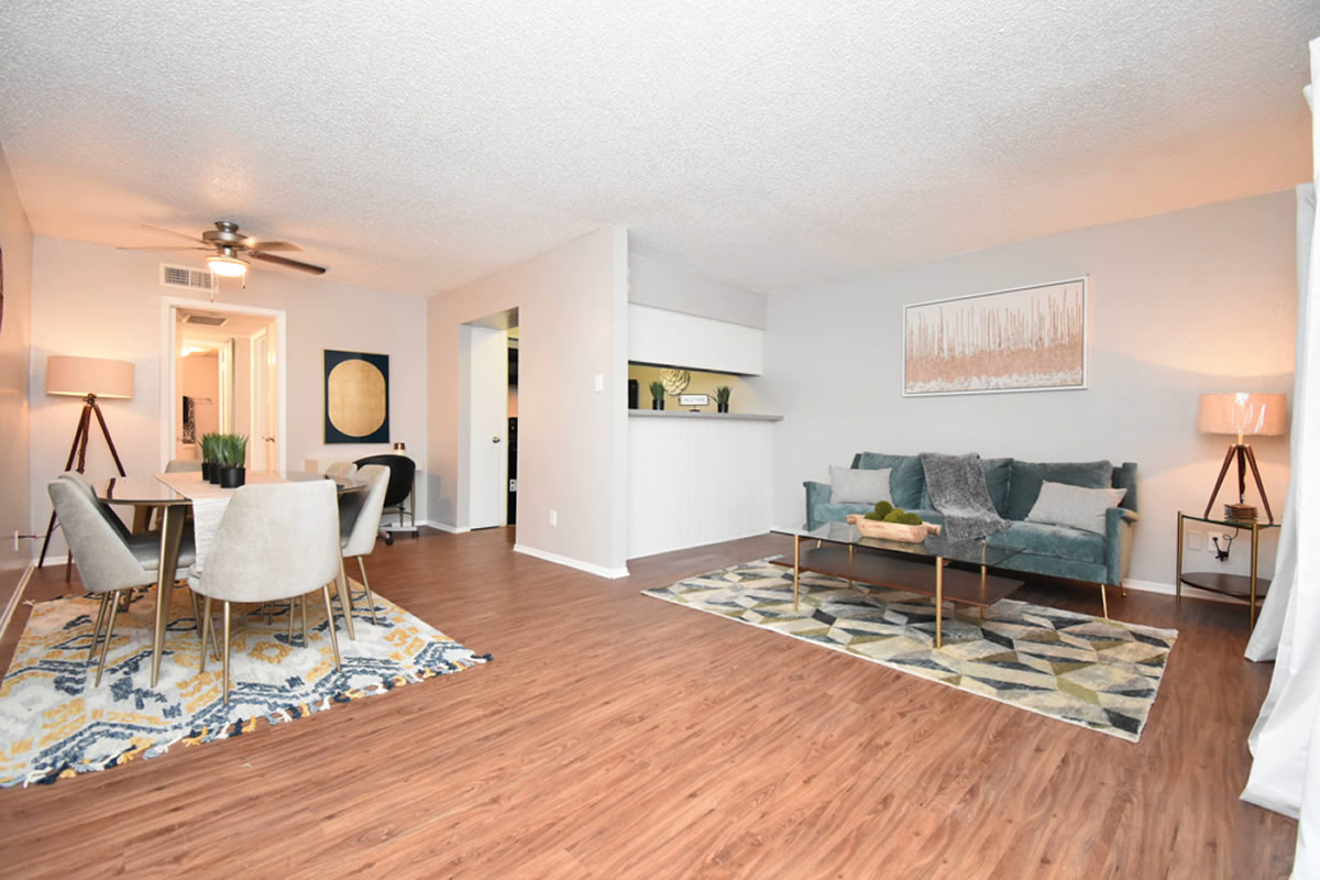 Furniture Setting in Living Room